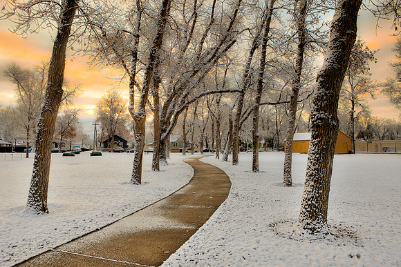 Sunrise at Pioneer Park