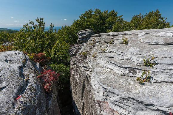 The Channels of Virginia