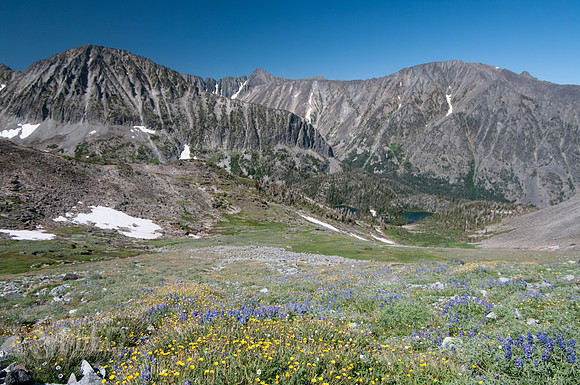 View from near Crazy Peak.  Meadows of wildflowers.