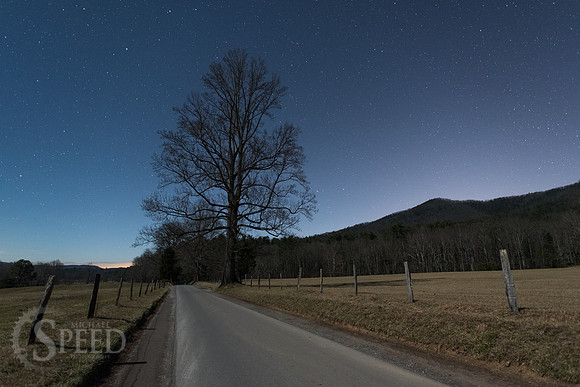 Great Smoky Mountains Winter