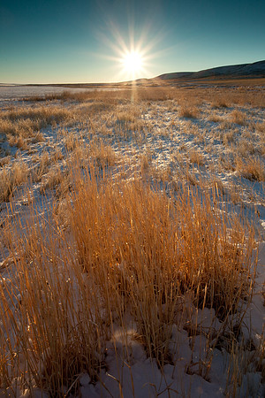 A field near Big Lake