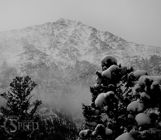 trees and Big Timber Peak