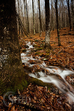 Grayson Highlands State Park