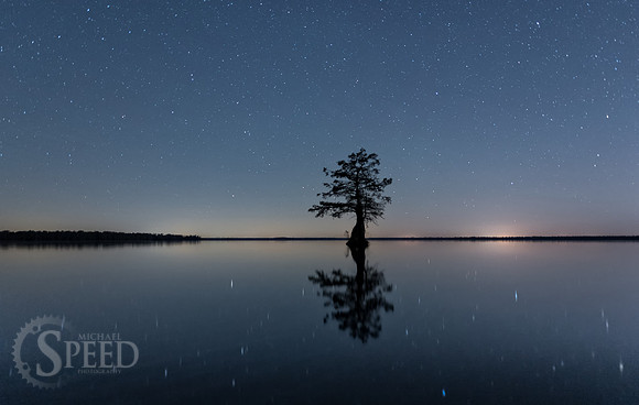 Kayak Trip to Lake Drummond in Great Dismal Swamp