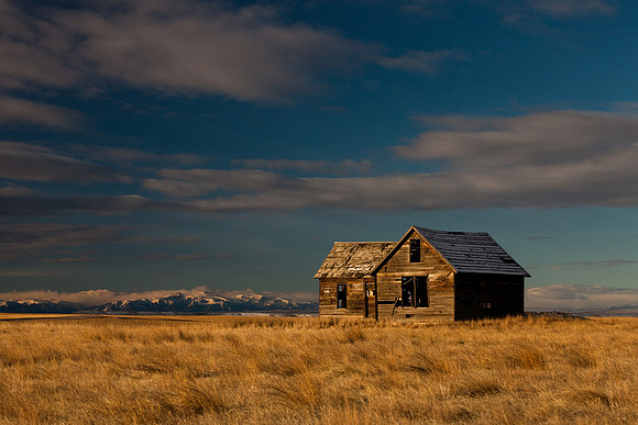 An old homestead near Molt, MT at sunrise.