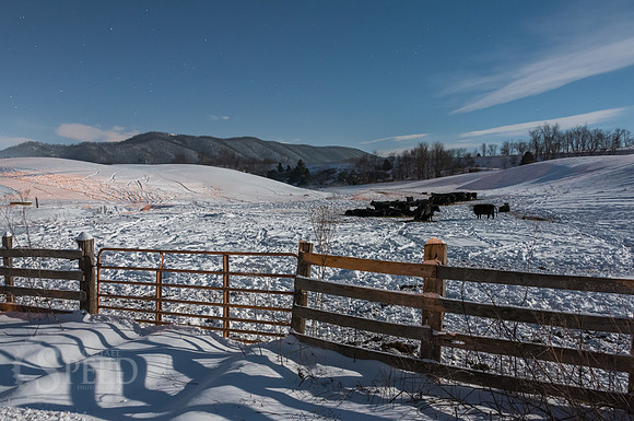 2016 Snowstorm in Southwest Virginia