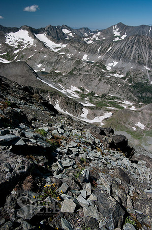 View from near Crazy Peak.  Meadows of wildflowers.