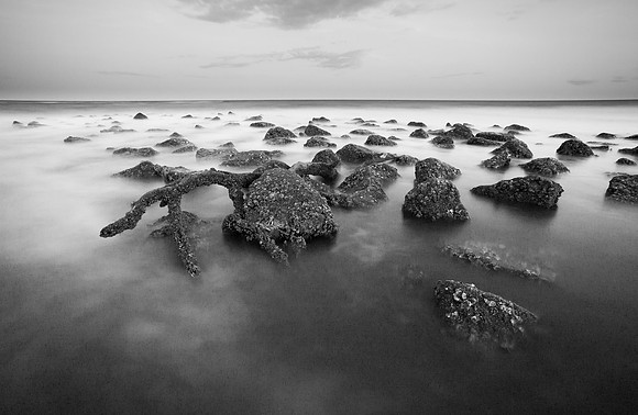 Hunting Island State Park
