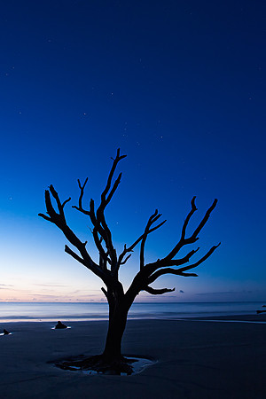 Hunting Island State Park