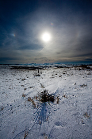 Sundog at Battle of the Little Bighorn.