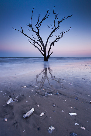 Edisto Beach Boneyard