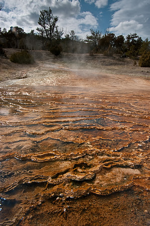 Mammoth Hot Springs