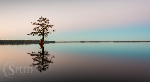 Kayak Trip to Lake Drummond in Great Dismal Swamp