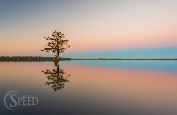 Kayak Trip to Lake Drummond in Great Dismal Swamp