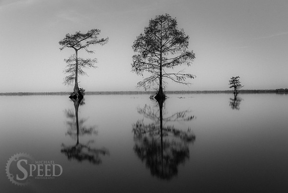 Kayak Trip to Lake Drummond in Great Dismal Swamp