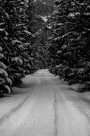 The road to Halfmoon Campground