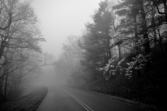 Rocky Knob Recreation Area