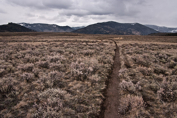 Back Country trail in Yellowstone National Park