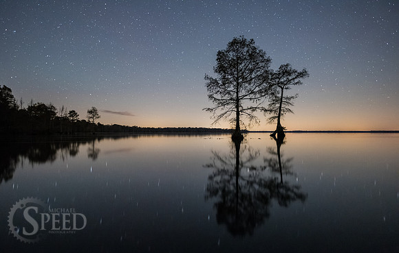 Kayak Trip to Lake Drummond in Great Dismal Swamp