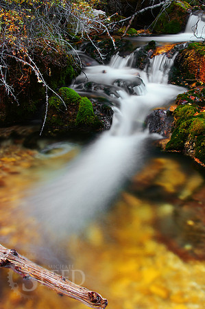 Upper Layout Creek