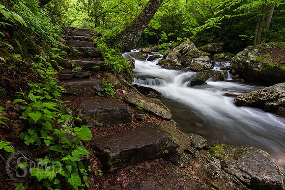 Cascades Trail Pembroke Virginia