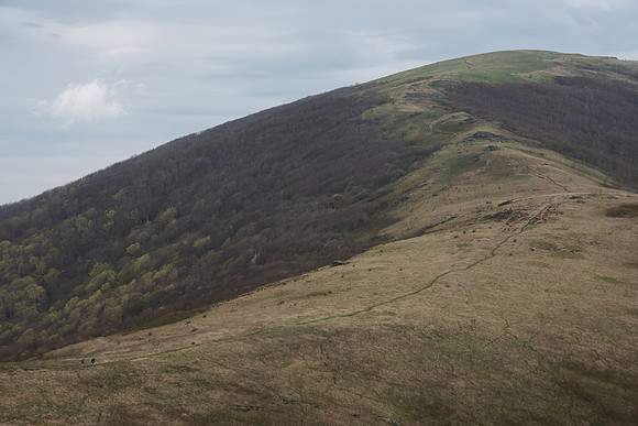 Roan Mountain Section of Appalachian Trail
