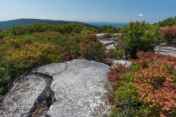 The Channels of Virginia