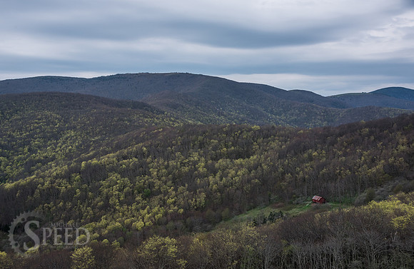 Roan Mountain Section of Appalachian Trail