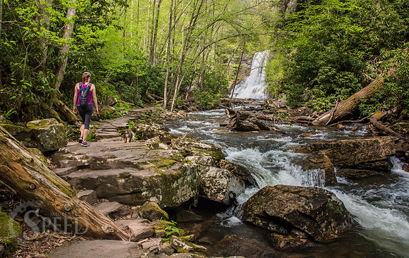 Cascades Trail Pembroke Virginia