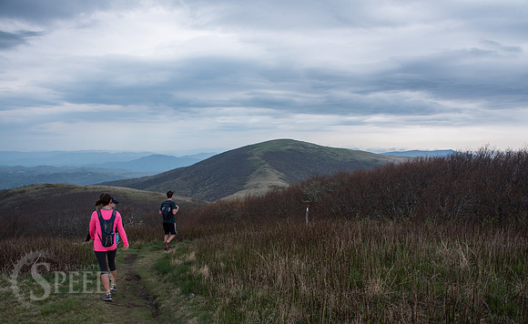Roan Mountain Section of Appalachian Trail