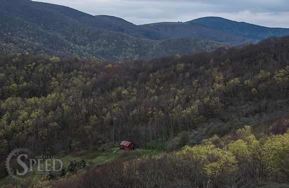 Roan Mountain Section of Appalachian Trail