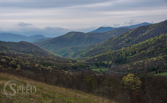 Roan Mountain Section of Appalachian Trail