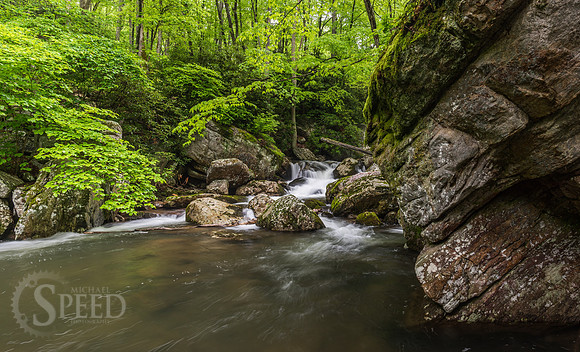 Cascades Trail Pembroke Virginia