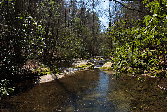 Doughton Park Blue Ridge Parkway