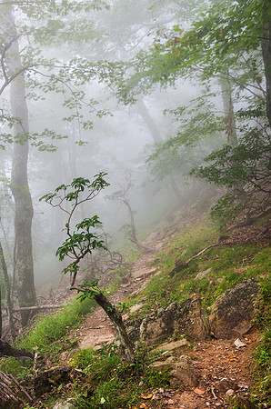 Rocky Knob Recreation Area