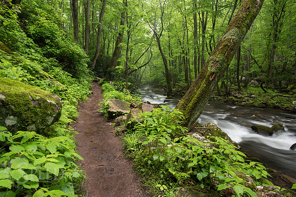 Cascades Trail Pembroke Virginia