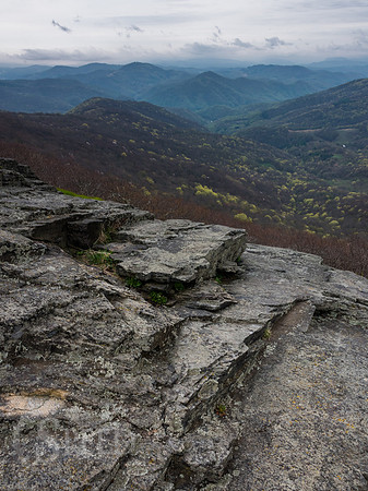Roan Mountain Section of Appalachian Trail