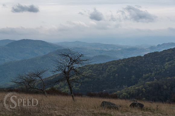 Roan Mountain Section of Appalachian Trail