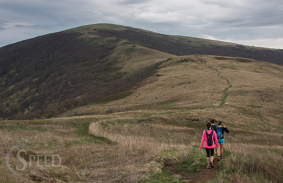 Roan Mountain Section of Appalachian Trail
