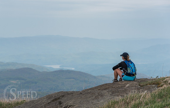 Roan Mountain Section of Appalachian Trail