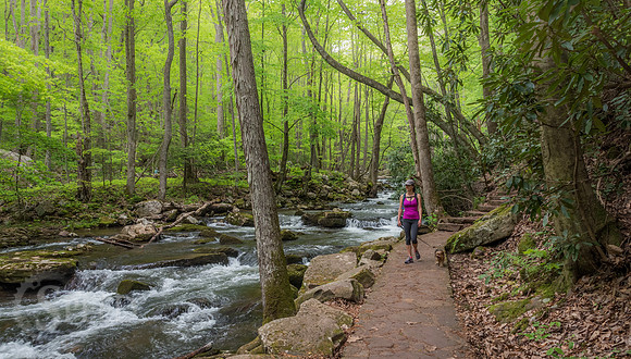 Cascades Trail Pembroke Virginia
