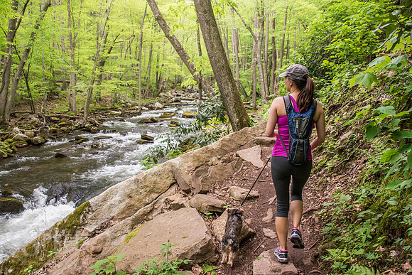 Cascades Trail Pembroke Virginia