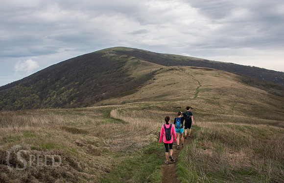 Roan Mountain Section of Appalachian Trail