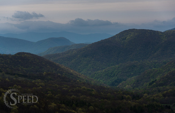 Roan Mountain Section of Appalachian Trail