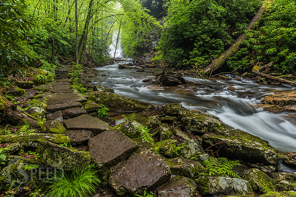 Cascades Trail Pembroke Virginia