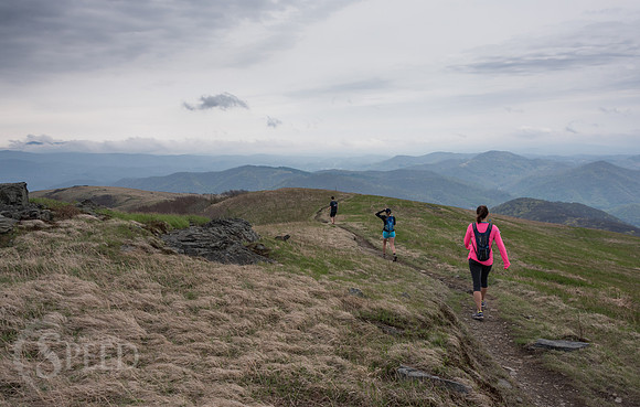 Roan Mountain Section of Appalachian Trail