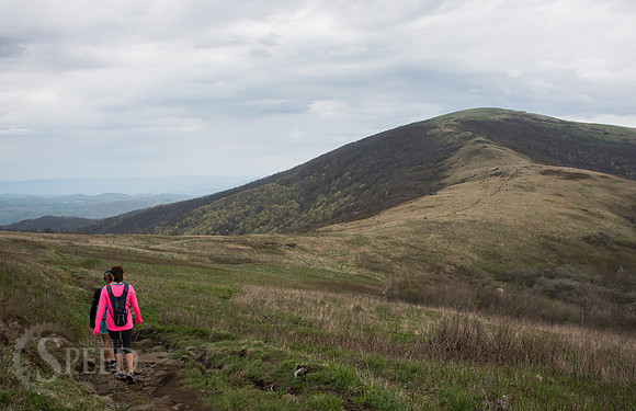 Roan Mountain Section of Appalachian Trail