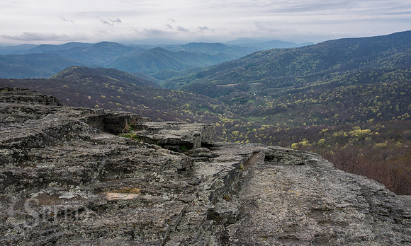 Roan Mountain Section of Appalachian Trail