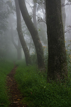 Rocky Knob Recreation Area