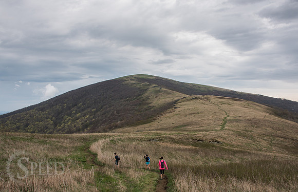 Roan Mountain Section of Appalachian Trail